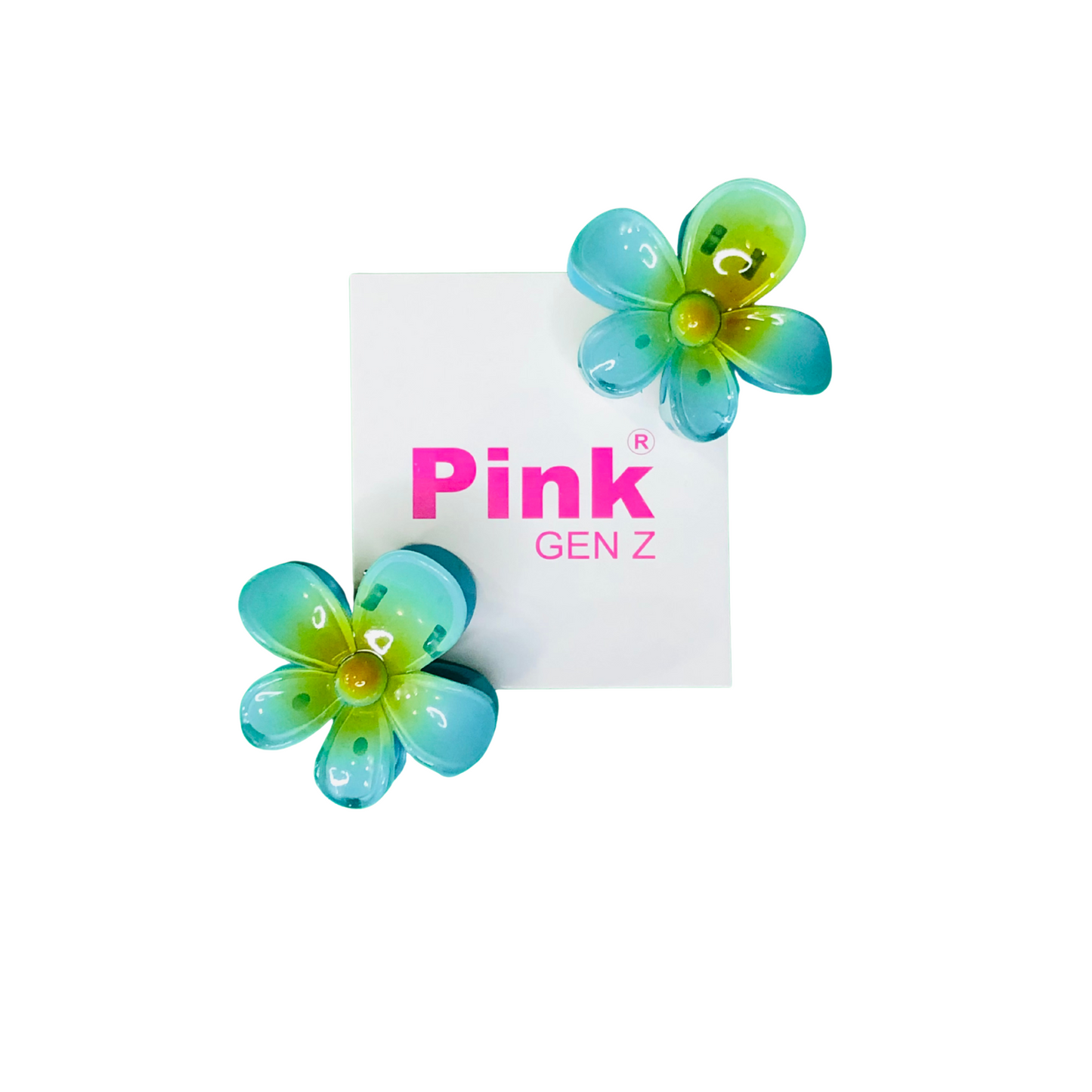 Blossom-Hair Claw-Pack of 2